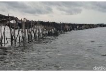 Ali Hanafiah Lijaya, Engcun,dan memet Orang Kepercayaan Aguan yang Jadi Dalang Pemagaran Laut untuk PSN.