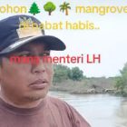 Diperkiraan Ratusan ribu Hetar hutan mangrove dari Tangerang Utara sampai Tirtayasa Serang, gundul dan punah.