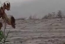 Ketum PPWI Bapak Wilson Lalengke Spd Msc MA “USUT TUNTAS BONGKAR ADILI” – Oknum pengacara bernama MD., S.H. dari Kantor Hukum LAW FIRM.