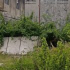MENJUAL TANAH ORANG MENGAKUI HANYA PAKAI KWITANSI, SEDANGKAN GIRIK ASLINYA MASIH ADA SAMA AHLI WARIS.
