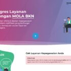 Sekitar 4,5 Juta PPPK Paroh Waktu menunggu kelaur NIP di BKN.