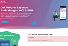 Sekitar 4,5 Juta PPPK Paroh Waktu menunggu kelaur NIP di BKN.