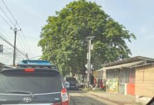 Pengaturan lalu lintas itu sudah satu paket, kini preman mamfaatkan minta uang pada mobil yang lewat.