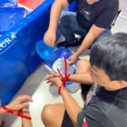 Penernak Bisnis Udang Lobstar di Lingkungan Pemungkiman tangkap polisi.