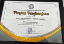 Desa Dolopo Raih Piagam Penghargaan Pelaksanaan Terbaik Program Pemberdayaan dan Kesejahteraan Keluarga.