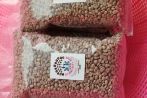 PENGEMBANGAN KOMODITAS KOPI DAN TEMBAKAU MENJADI FOKUS UTAMA DINAS TPHP KABUPATEN MAGETAN DEMI TINGKATKAN KESEJAHTERAAN PETANI.