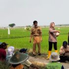 Plt. Kepala Dinas Pertanian dan Perikanan Kab. Madiun Sosialisasikan Pestisida Hayati di Banjarsari, Dorong Pertanian Berkelanjutan.