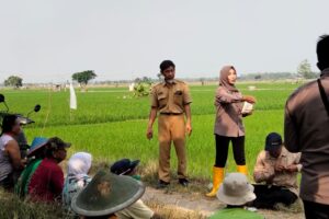 Plt. Kepala Dinas Pertanian dan Perikanan Kab. Madiun Sosialisasikan Pestisida Hayati di Banjarsari, Dorong Pertanian Berkelanjutan.